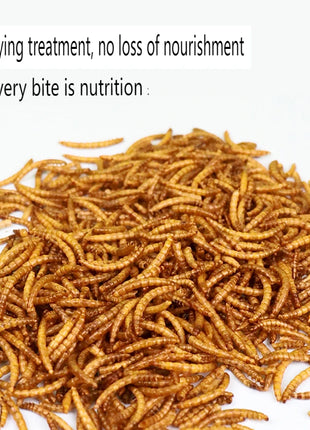 Thrushcross Turtle Snacks Freshwater Small Fish Dried Shrimp Dried Hamster Bread Worm Dried Hamster Snacks - Riparo82