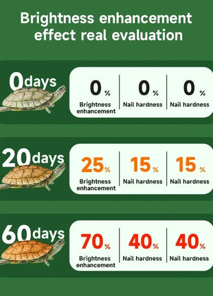 YEE Premium Turtle Food – Specially Formulated for Golden Coin Turtles, Yellow Pond Turtles, and Hatchlings - Riparo82