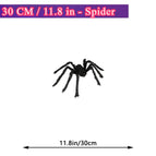 30cm