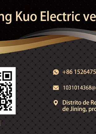 2025 Nuovo arrivo triciclo elettrico per auto | Trike per carichi pesanti per adulti con capacità di carico di 500 kg - riparo82