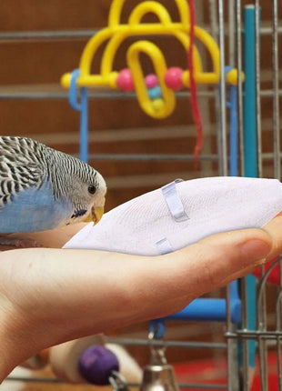 Uccello Seppie Osso Uccello Naturale Cuttlebone Pappagallo Giocattolo Da Masticare Pet Rettifica Seppie Osso Uccello Molare Snack Pappagallo Forniture - riparo82