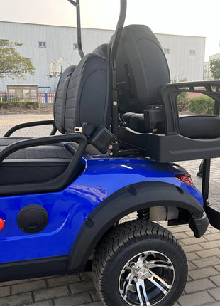 China's Hot Sale 48V/72V Lithium Golf Car 4/6/8 Person Electric Mini Sightseeing Bus Electric Golf Carts - Riparo82