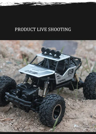 ZWN 1:16 4WD RC Auto 2.4G Radio Auto telecomandate Buggy ricaricabile 4x4 Camion telecomandati fuoristrada Ragazzi Giocattoli per i regali dei bambini