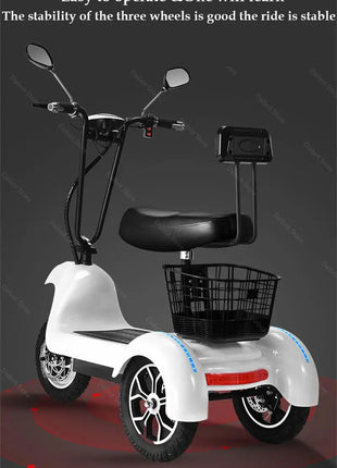 3 Wheel Mini Electric Adult Tricycle For 2 Person 500W Electric Scooter For Old People With Cargo Basket/USB/Fashion Lamp 35KM/H - Riparo82