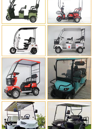 2024 High Quality Best Price 800w 15 Tube Four Wheel Electric Tricycle with Roof for Adult Golf Cart Electric with Roof - Riparo82