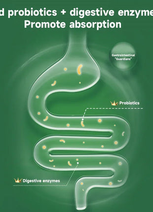 YEE Premium Turtle Food – Specially Formulated for Golden Coin Turtles, Yellow Pond Turtles, and Hatchlings - Riparo82