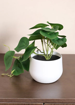 1PC Simulated Plant Potted Plant, Business Office Desktop, Foyer, Garden, Garden, Floral And Home Decoration