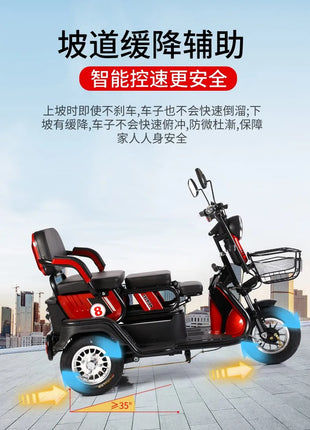 HLZ electric tricycle adult household battery tricycle - Riparo82
