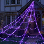 Purple Spider Web