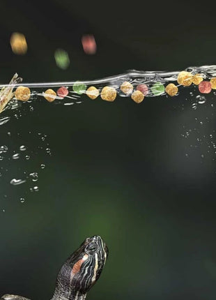 GEN CLIMB Turtle Food with Dried Shrimp&Mealworms-All-in-One Floating Pellets for Aquatic Turtles(Red-Eared Slider,Pond Turtle) - Riparo82