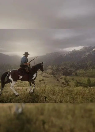 Sony Genuine license Playstation 4 PS4 Red Dead Redemption 2 RDR2 Game CD Game Card Ps5 giochi dischi Red Dead Redemption 2 RDR2