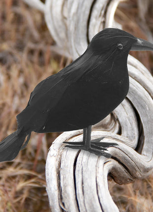 6PCS Black Feather Crow Halloween Props Mock Crow Spooky Feather Decoration Props Halloween Party Scary Animal Horror Props - Riparo82