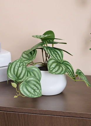 1PC Simulated Plant Potted Plant, Business Office Desktop, Foyer, Garden, Garden, Floral And Home Decoration