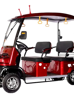 Mini Autobus Elettrico 2-4 Posti con Tetto - Scooter Turistico Doppia Fila - riparo82