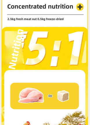 BESSN Aquatic Turtle Food - High Protein Freeze-Dried Shrimp&Meat Mix for Red-Eared Slider,Snapping Turtle&Terrapin - Riparo82