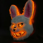 Rabbit With Light