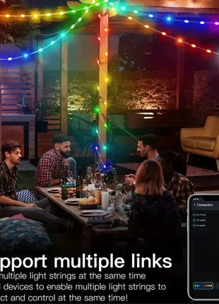 USB 5V Smart RGB-IC Fata Stringa di luci Luci di Natale Decorazioni Lampada Ghirlanda WS2812 APP Bluetooth e telecomando indirizzabile - riparo82