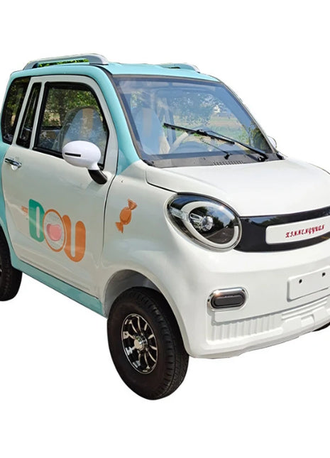 Export Eco car 4-wheel pure electric car 60v105Ah 1000w adult two-wheel drive 5-seat low-speed mini electric battery car - Riparo82