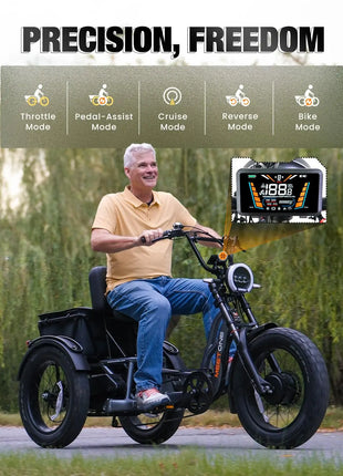 E-Trike 2400W Motor 48V30AH Removable Battery Electric Tricycle Support Reversing Function 20*4Inch Fat Tire Snow Electric Trike