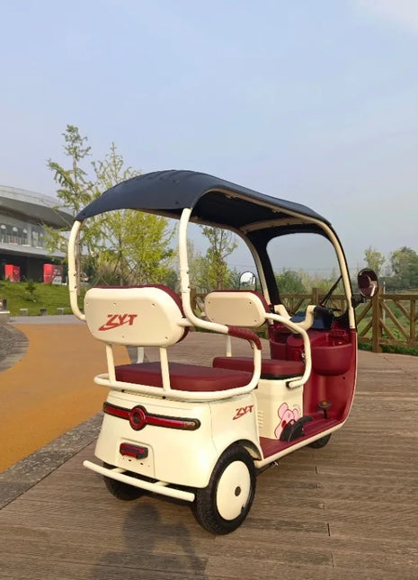 2025 Hot Selling Electric Tricycle for Family Use Open Body Rickshaw with Roof for Passenger and Cargo for Adults