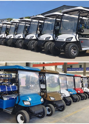 Electric Golf Cart 48V 60v 72v 4kw Electric Vehicles Golf Carts for Adults 8 Seat with Folding Seat Buggy Car - Riparo82