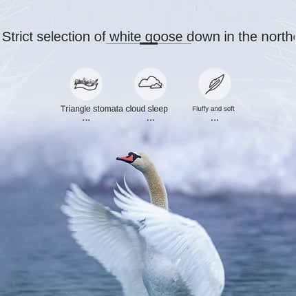 Soft Pillows White Goose Down Feather Pillows for Sleeping Neck Protection Bed Pillows with 100% Cotton Cover