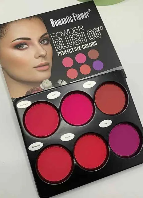 6-Color Blush Palette Large Natural Contouring Makeup Eye Shadow Palette Matte Blush Beauty Palette, Long-Lasting Concealer