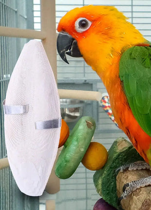 Uccello Seppie Osso Uccello Naturale Cuttlebone Pappagallo Giocattolo Da Masticare Pet Rettifica Seppie Osso Uccello Molare Snack Pappagallo Forniture - riparo82