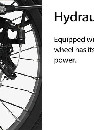 E-Trike 2400W Motor 48V30AH Removable Battery Electric Tricycle Support Reversing Function 20*4Inch Fat Tire Snow Electric Trike