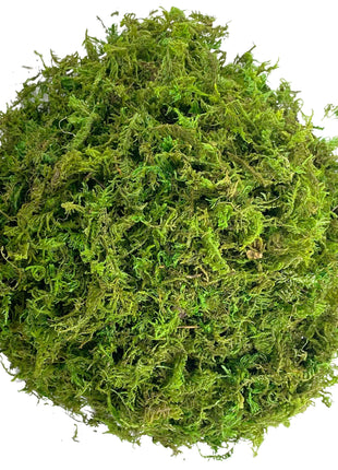 Artificial Moss Green for Potted Plant Orchid Potting Mix Peat Moss Pole Craft