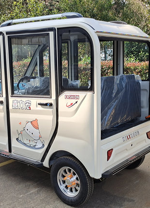Chang li 4 adults electric tricycle for disabled    passenger seat - Riparo82