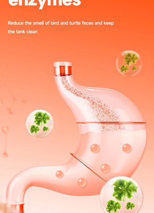 Turtle Food High Protein and High Nutrition Special Food for Chinese Pond Turtles - Riparo82