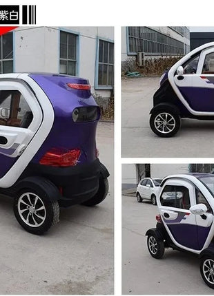 Factory sell 4 wheel drive electric car accept OEM for elderly passenger - Riparo82