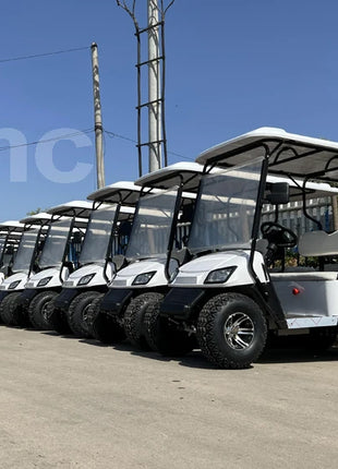 China's Hot Sale 48V/72V Lithium Golf Car 4/6/8 Person Electric Mini Sightseeing Bus Electric Golf Carts - Riparo82