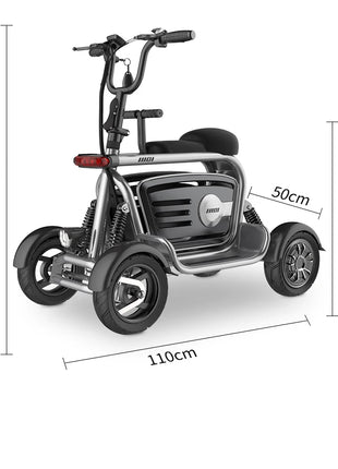 4 Wheels Dual Motor Electric Scooter Adults 800W 48V 4 Wheel Drive Mobility Scooter With Large Storage Basket 2 Seat For Women - Riparo82