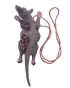 Halloween Horror Hanging Pendant Fake Dead Mouse Bat Broken Hand Feet Halloween Party Home Haunted House Scary Decoration Props - Riparo82