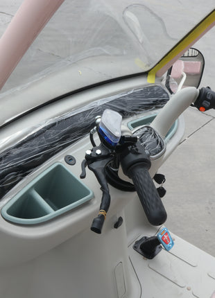 2025 Nuovo arrivo triciclo elettrico per auto | Trike per carichi pesanti per adulti con capacità di carico di 500 kg - riparo82