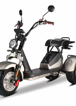Clark is hot selling 10 Inch Fat Tire Trike Electric Vehicles Three Wheel Electric Scooter Citycoco 2000W 3 Wheels Electrical Mo - Riparo82