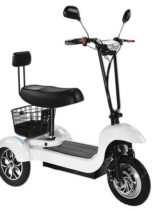 3 Wheel Mini Electric Adult Tricycle For 2 Person 500W Electric Scooter For Old People With Cargo Basket/USB/Fashion Lamp 35KM/H - Riparo82