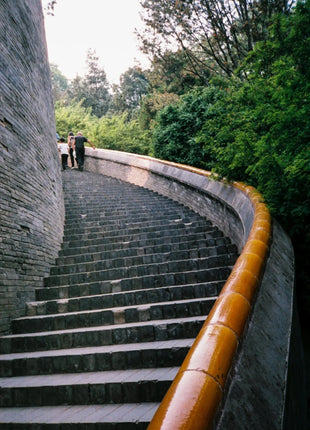 Pellicola originale KODAK ColorPlus 200 35mm 36 esposizione Per rotolo adatta Per fotocamera M35 / M38 /H35 pellicola negativa 36EXP Per fotocamera LOMO