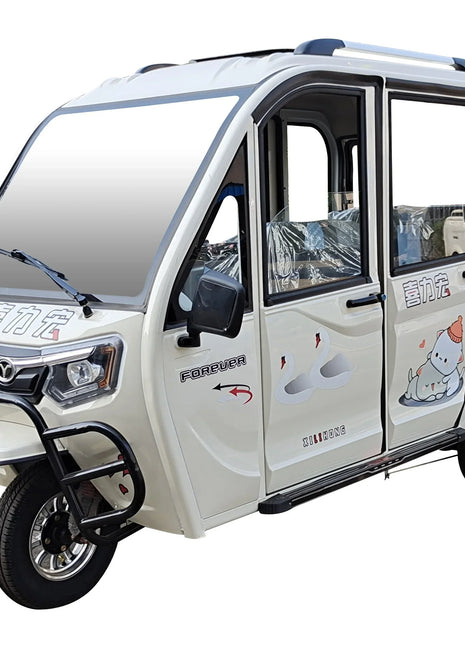Chang li 4 adults electric tricycle for disabled    passenger seat - Riparo82
