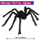 200cm