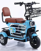 Electric tricycle mini electric car pet car elderly scooter - Riparo82