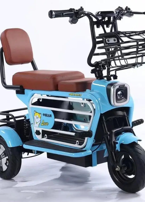 Electric tricycle mini electric car pet car elderly scooter - Riparo82