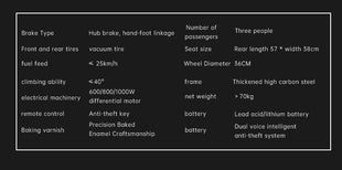 48V 600W Cheapest Long-endurance 3 Passengers  Mobility Electric Vehicle for Elderly Electric Tricycle Scooter Mobility Bike