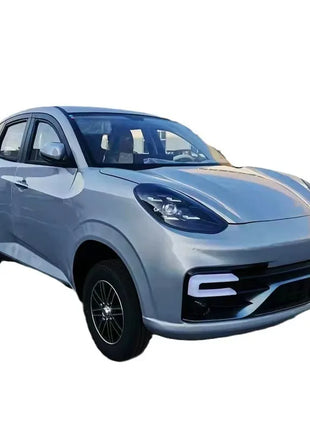 4 Seat Electric Car  for Adult Four Wheel Rickshaw Vehicle with 4 Passenger Seats - Riparo82