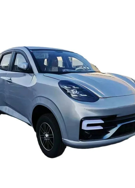 4 Seat Electric Car  for Adult Four Wheel Rickshaw Vehicle with 4 Passenger Seats - Riparo82