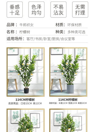 Simulation Green Plant Simulation Lemon Tree Pot Large Green Plant Bonsai Shopping Mall Restaurant Decoration on The Ground