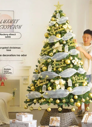 Albero di Natale Casa Nuova crittografia Luminoso Grandi decorazioni natalizie Pacchetto fai da te di lusso