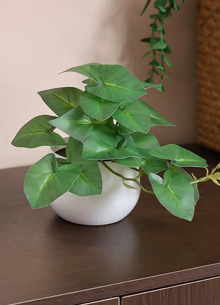 1PC Simulated Plant Potted Plant, Business Office Desktop, Foyer, Garden, Garden, Floral And Home Decoration